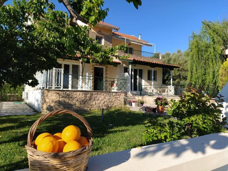 Queen Bay Studios Vasiliki  Luaran gambar