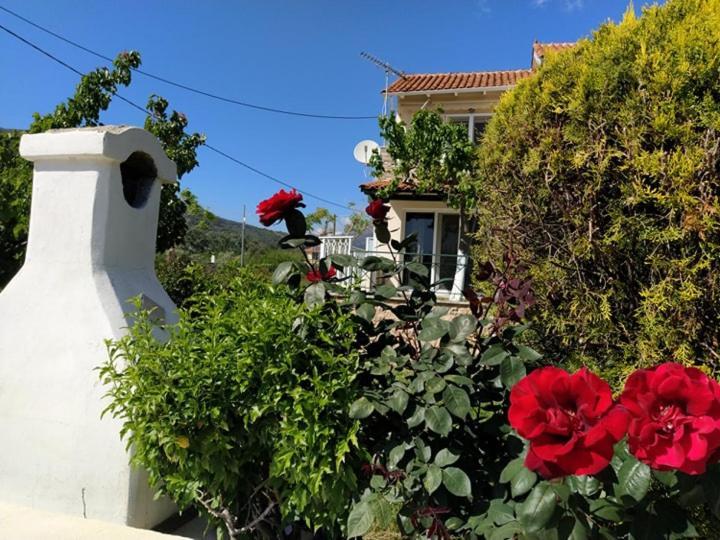 Queen Bay Studios Vasiliki  Luaran gambar